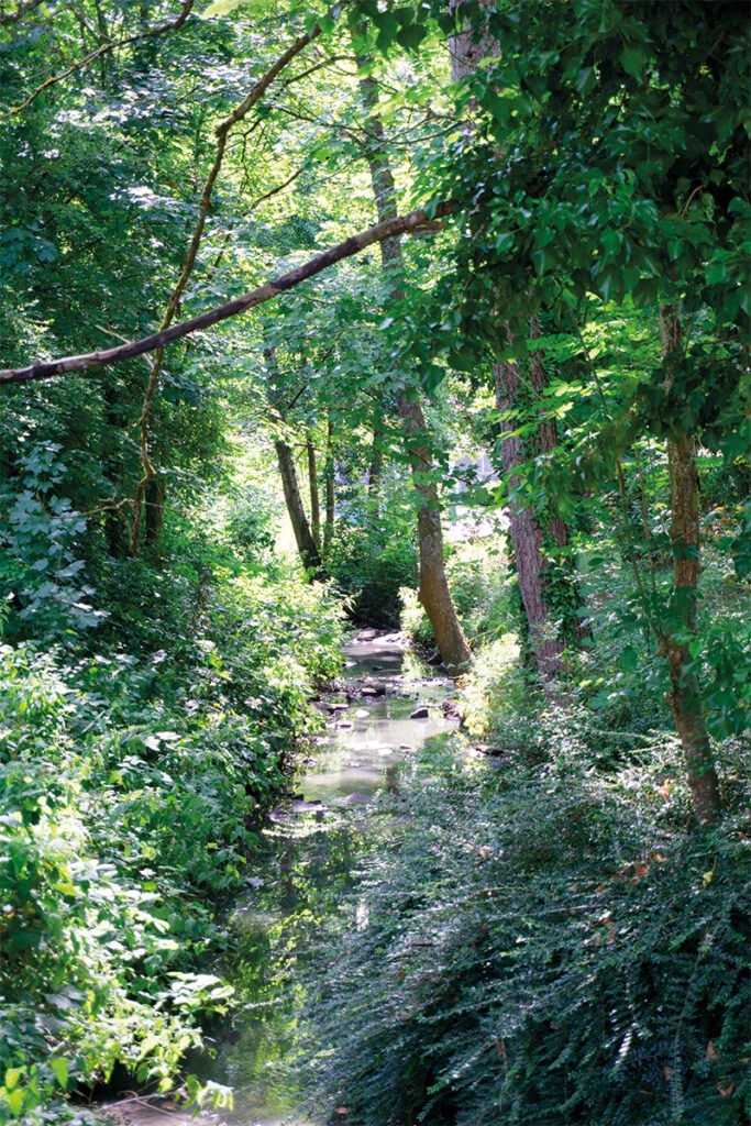 Ruisseau de Damouzy La Houillère